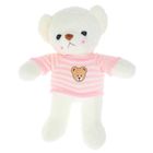 Мягкая игрушка «Медведь в полосатой кофте», цвета МИКС - Фото 2