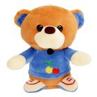 Мягкая игрушка «Медведь в кедах», цвета МИКС - Фото 10