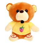 Мягкая игрушка «Медведь в кедах», цвета МИКС - Фото 11