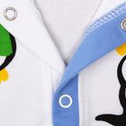 Детский костюм "Пингвин": футболка на застежке, шорты, на 6-12 мес, цвет салатовый - Фото 7