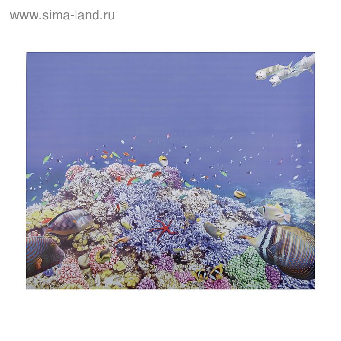 Фон для аквариумов №3 60*50см односторонний - Фото 1