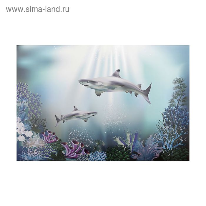 Фон для аквариумов "Акулы" 60*40см односторонний - Фото 1