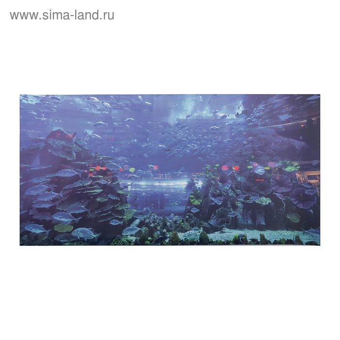 Фон для аквариумов "Синий" 60*30см односторонний - Фото 1