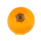 Липучка «Глаз», цвета МИКС - Фото 1