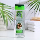 Шампунь для волос Чистая линия для всей семьи Березовый, 250 мл - Фото 1