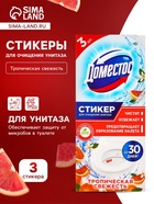 Стикер для очищения унитаза Domestos «Тропическая свежесть», 3 шт., 10 г - Фото 1