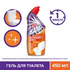 Средство дезинфицирующее для туалета Cillit Bang Анти-налет и Блеск, "Сила цитруса", 450 мл - Фото 1