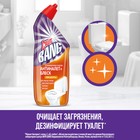 Средство дезинфицирующее для туалета Cillit Bang Анти-налет и Блеск, "Сила цитруса", 450 мл - Фото 2