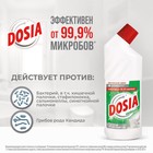 Чистящее средство Dosia "Хвоя" с отбеливающим эффектом, 750 мл - фото 8432473