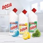 Чистящее средство Dosia "Хвоя" с отбеливающим эффектом, 750 мл - Фото 3