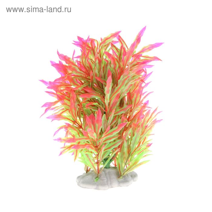 Растение искусственное аквариумное искусственное Аммания изящная, 19 х 9 х 21 см - Фото 1