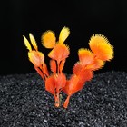 Растение искусственное аквариумное Незея крассикаулис, 10 см - Фото 1