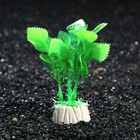 Растение искусственное аквариумное Людвигия, 10 см, зеленая - фото 8432610