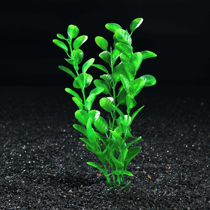 Растение искусственное аквариумное Бакопа каролинская, 20 см - Фото 1
