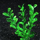 Растение искусственное аквариумное Бакопа каролинская, 20 см - Фото 2