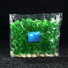 Растение искусственное аквариумное Бакопа каролинская, 20 см - Фото 3