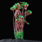 Растение искусственное аквариумное высокое Лимнобиум губчатый, 14 х 4 х 40 см - Фото 1