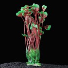 Растение искусственное аквариумное высокое Лимнобиум губчатый, 14 х 4 х 40 см - Фото 2