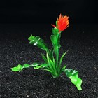 Растение искусственное аквариумное Апоногетон курчавый, 20 см - Фото 2