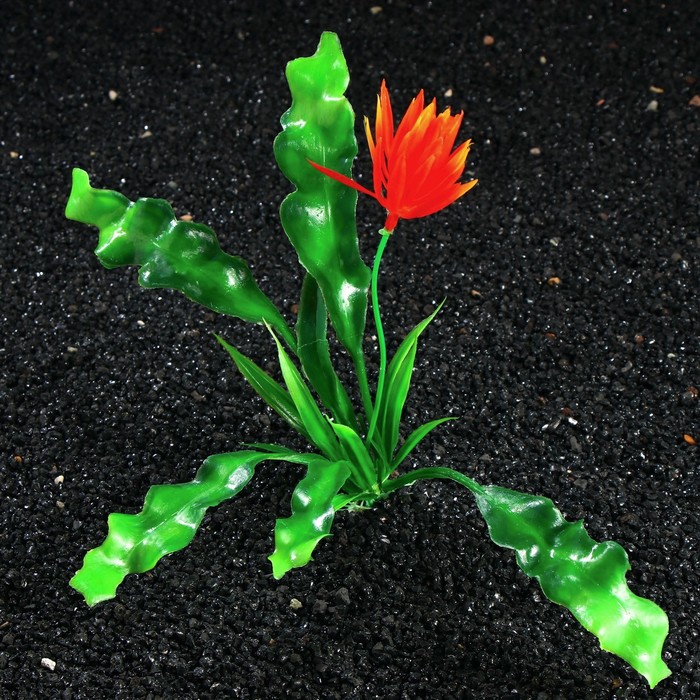 Растение искусственное аквариумное Апоногетон курчавый, 20 см - Фото 1