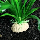 Растение искусственное аквариумное Апоногетон курчавый, 20 см - Фото 3