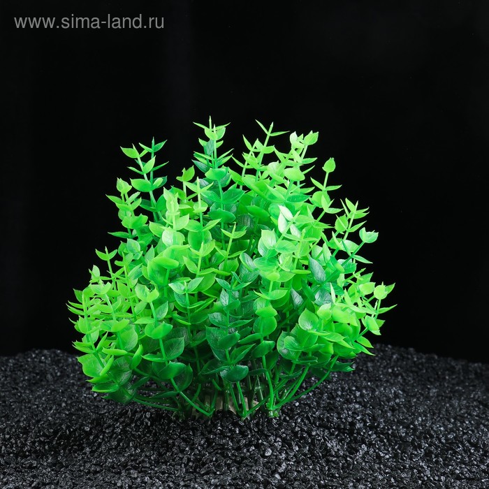 Растение искусственное аквариумное Жерушник водный зеленый, 20 х 20 х 16 см - Фото 1