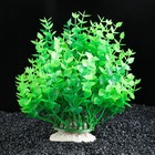 Растение искусственное аквариумное Жерушник водный зеленый, 20 х 20 х 16 см - Фото 2
