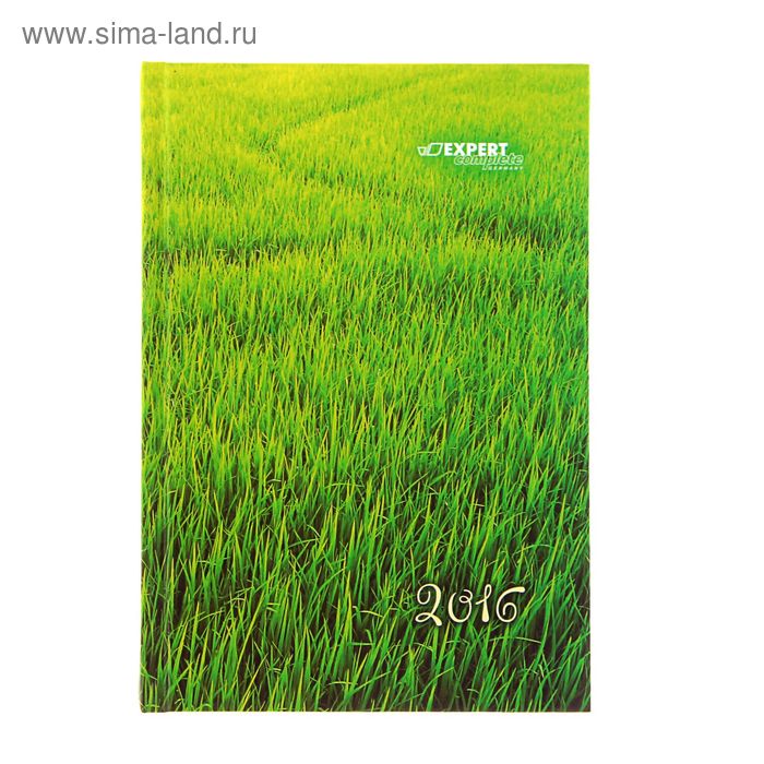 Ежедневник датированный 2016г А5, 320 листов, Expert Complete Grass, ламинированная обложка - Фото 1