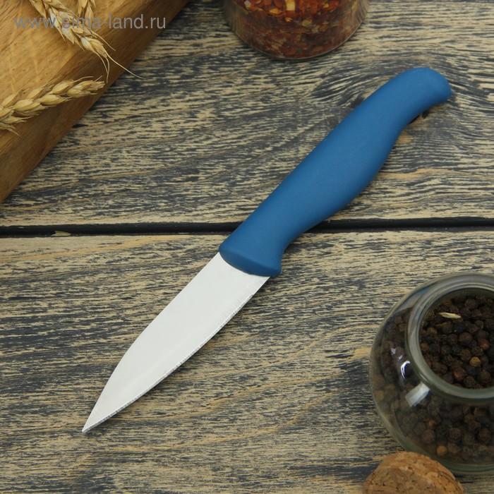 Нож для овощей кухонный Доляна «Мультиколор», лезвие 8,5 см, цвет МИКС - Фото 1
