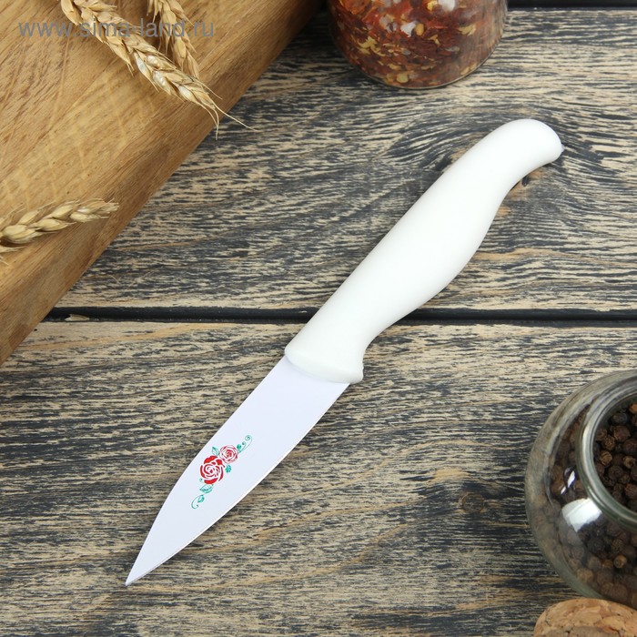 Нож кухонный с антиналипающим покрытием Доляна «Вайт», лезвие 8,5 см, цвет белый - Фото 1