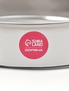 Сито для просеивания Доляна «Металлик», d=21 см, серебристое - Фото 5