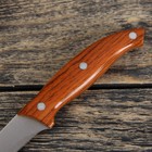 Нож для овощей кухонный Доляна «Эко», лезвие 9,5 см, цвет коричневый - Фото 4