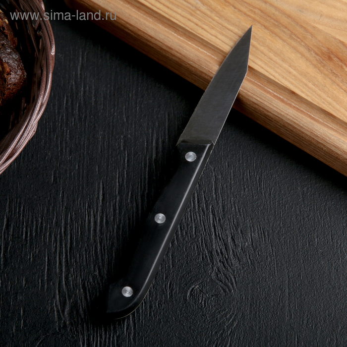 Нож для овощей кухонный Доляна «Универсал», лезвие 8 см, цвет чёрный - Фото 1