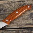 Нож кухонный Доляна «Эко», зубчатое лезвие 12 см, цвет коричневый - Фото 4