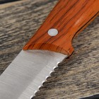 Нож для хлеба Доляна «Эко», зубчатое лезвие 20 см, цвет коричневый - Фото 3