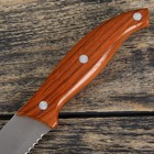 Нож для хлеба Доляна «Эко», зубчатое лезвие 20 см, цвет коричневый - Фото 4