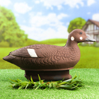 Фигура подсадная "Турпан горбоносый" утка, 39 х 15 х 24 см - Фото 1