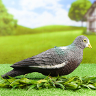 Фигура подсадная "Голубь лесной" 36 х 13 х 13 см - Фото 1