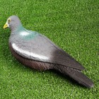 Фигура подсадная "Голубь лесной" 36 х 13 х 13 см - Фото 3