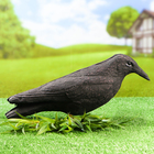 Фигура подсадная "Ворона" черная 39*12*12 см - Фото 1