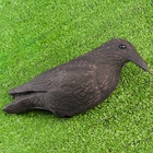 Фигура подсадная "Ворона" черная 39*12*12 см - Фото 2