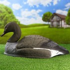 Фигура подсадная "Гусь гуменник отдыхающий" полукорпус 58*35*17 см - Фото 2