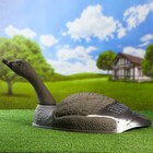 Фигура подсадная "Гусь гуменник курлыкающий" полукорпус 58*35*17 см - Фото 2