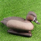 Фигура подсадная "Красноголовый нырок" утка 28*14*17 см - Фото 2
