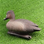 Фигура подсадная "Красноголовый нырок" утка 28*14*17 см - Фото 3