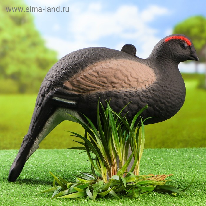 Фигура подсадная "Тетерев" 30 х 14 х 34 см - Фото 1