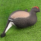 Фигура подсадная "Тетерев" 30 х 14 х 34 см - Фото 2