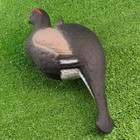 Фигура подсадная "Тетерев" 30 х 14 х 34 см - Фото 3