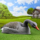 Фигура подсадная "Гусь серый кормящийся" полукорпус, 58 х 35 х 17 см - Фото 1