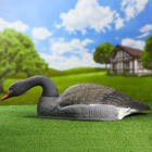 Фигура подсадная "Гусь серый кормящийся" полукорпус, 58 х 35 х 17 см - Фото 2